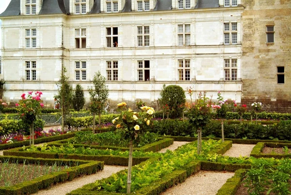 드빌란 Chteau Villandry 프랑스빌란 드리에 대규모 주택이다 아름다운 정원으로 유명하다 — 스톡 사진
