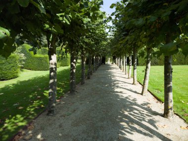 Çiçekler ve bitkiler... İngiltere 'nin görkemli bahçeleri... Wickshire öksürük sarayı.