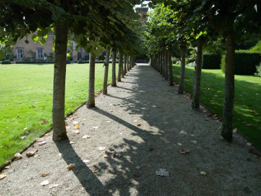 Çiçekler ve bitkiler... İngiltere 'nin görkemli bahçeleri... Wickshire öksürük sarayı.