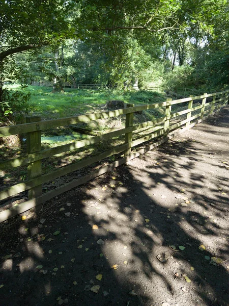 植物や花の装飾庭園威厳のある家庭英国 ペクトン裁判所 Warwickshire — ストック写真