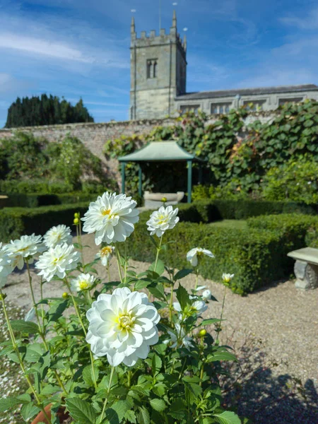 Pflanzen Und Blumen Ziergärten Stattliche Home England Coughton Court Warwickshire — Stockfoto