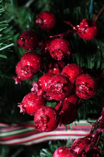 Bagas de Natal vermelho — Fotografia de Stock