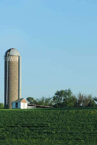 Boerderij met sojabonen en silo in het land — Stockfoto