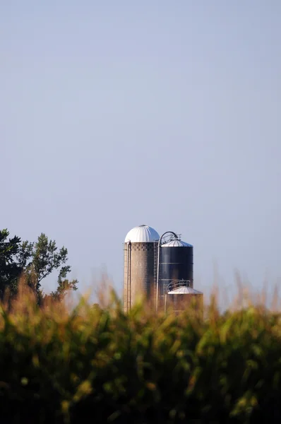 Farm silos — Stock Photo, Image