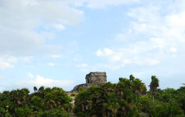 Mayský chrám v tulum — Stock fotografie