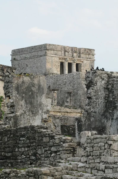 Ruinas de Tulum Maya —  Fotos de Stock