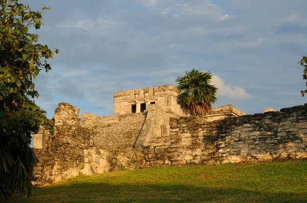 Ruinas mayas en Tulum — Foto de Stock