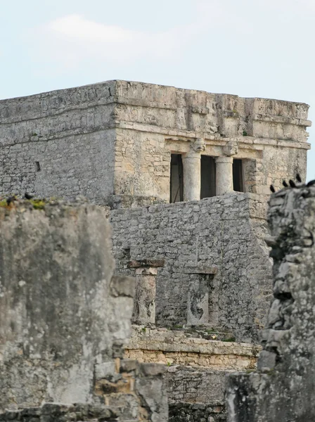 Ruinas Mayas —  Fotos de Stock