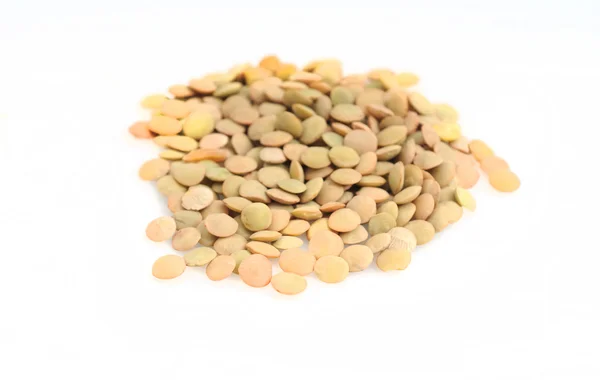 Raw Lentils on white — Stock Photo, Image