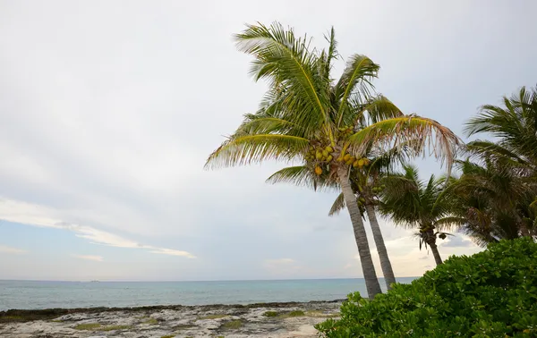 Playa tropical intacta — Foto de Stock