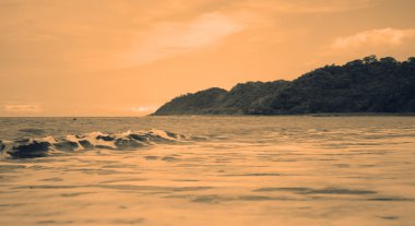 sepya manzara okyanus ve ağaçlar Panama