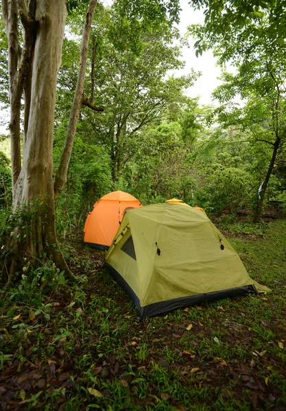 Camping in a tropical location with tents — Stock Photo, Image