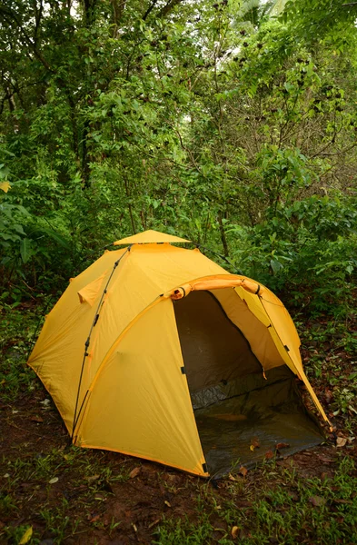 Camping with a yellow tent in the wilderness in Panama — Stock Photo, Image