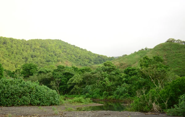doğal dağ ve nehir tropikal yağmur ormanlarında Panama