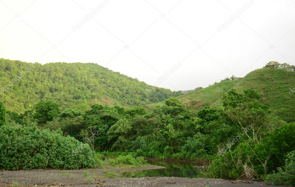 natural mountains and river in tropical rainforest in panama