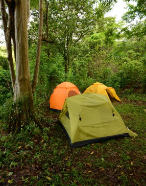 Ormanda kamp alanı üzerinde üç çadır