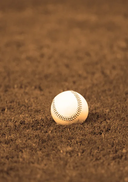 Béisbol acostado en el campo de hierba sin nadie —  Fotos de Stock