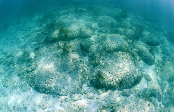 比米尼岛路是水下岩石形成 — 图库照片