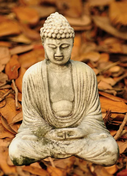 Herbstbuddha — Stockfoto