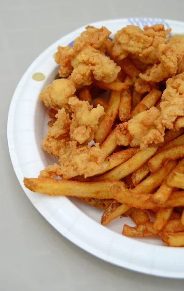 Fried gator bites and french fries — Stock Photo, Image