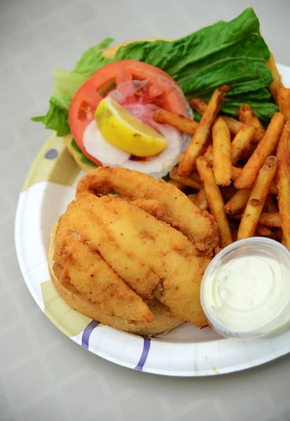 Stekt fisk lunch med pommes frites — Stockfoto