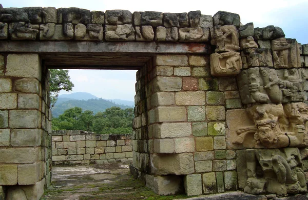 Ancient carvings from mayan culture in honduras — Stock Photo, Image