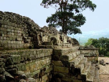 mayan architecture and copan ruins in Honduras clipart