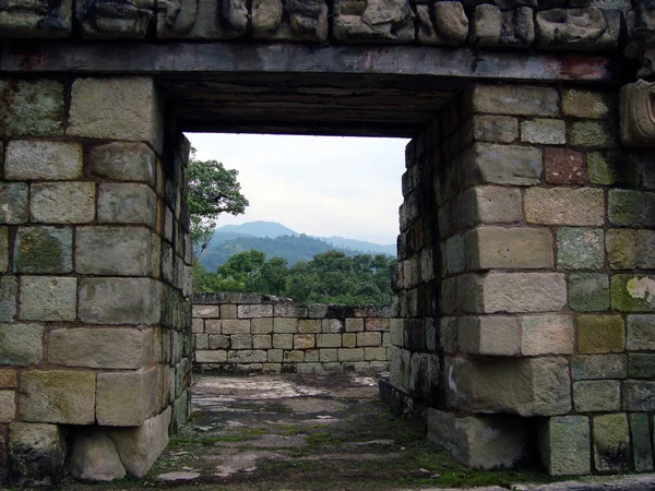 Paisagem de ruínas maias em ruinas copan, honduras — Fotografia de Stock