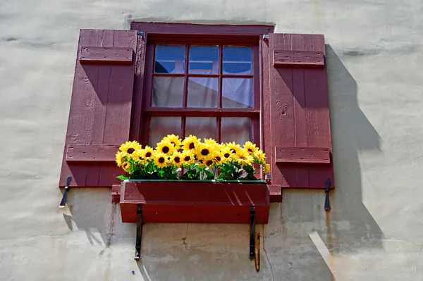 Fenêtre avec des fleurs dans la ville de la renaissance en Europe — Photo