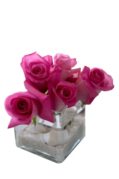 Pink rose flower arrangement in vase — Stock Photo, Image