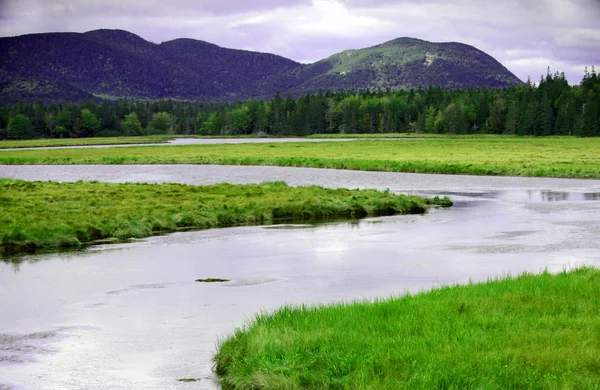 Letní krajina v národním parku acadia — Stock fotografie