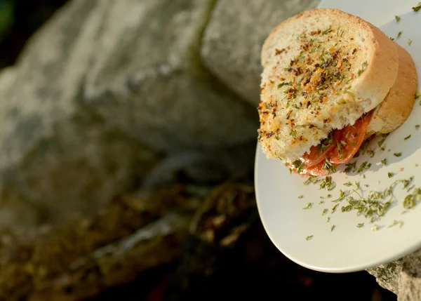 Sanduíche de salame torrado — Fotografia de Stock