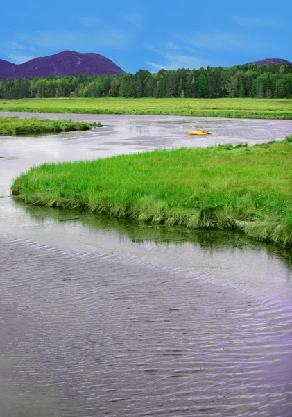 Kayak dans le parc national Acadia — Photo