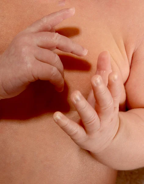 Newborn baby infant hands — Stock Photo, Image