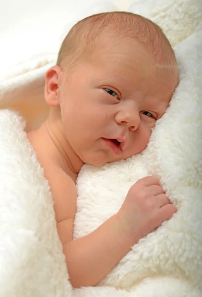 Alert newborn baby or infant — Stock Photo, Image