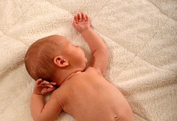 Bebé recién nacido pacífico tomando una siesta —  Fotos de Stock