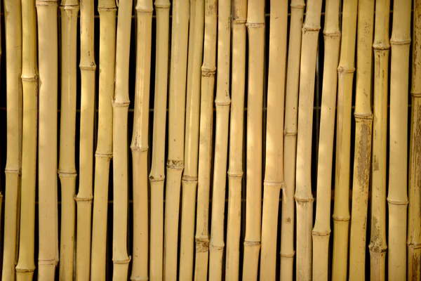 Bambu Arkaplanı