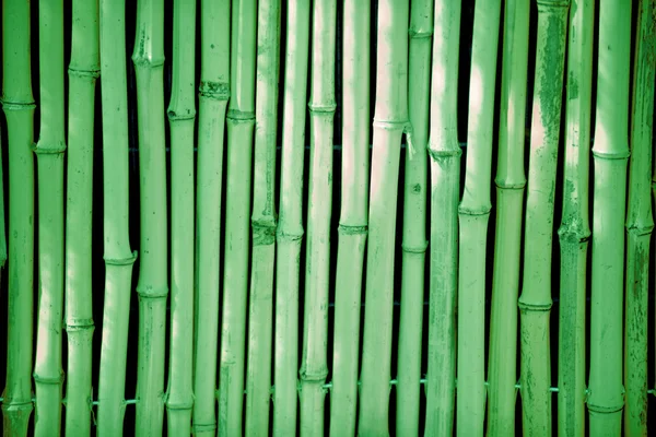 Fundo de bambu — Fotografia de Stock