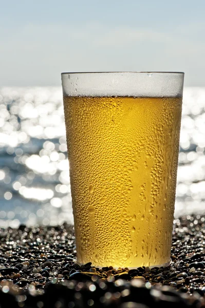 Copo de plástico de cerveja em pé na areia junto ao mar . — Fotografia de Stock