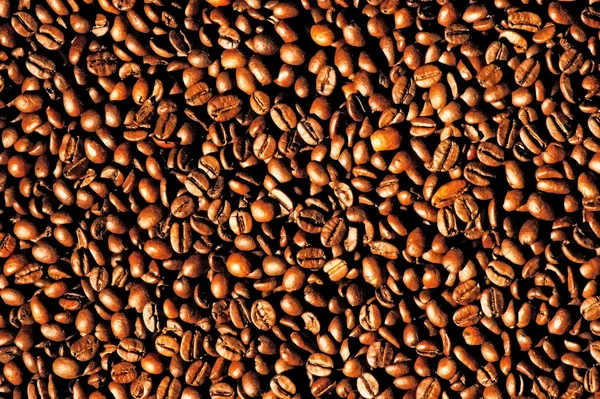 Contexte des grains de café — Photo