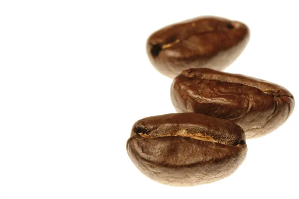 Three coffee beans on white — Stock Photo, Image