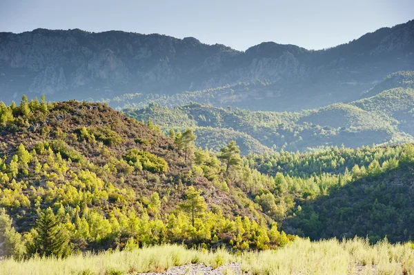 绿色的群山的山做背景。土耳其. — 图库照片