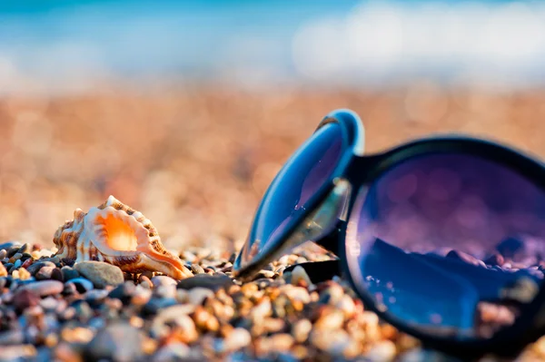 Napszemüveg és kagyló feküdjön a kavicsos strand-tenger — Stock Fotó