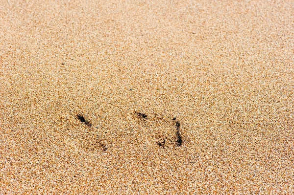 Spuren menschlicher Füße im Sandstrand — Stockfoto