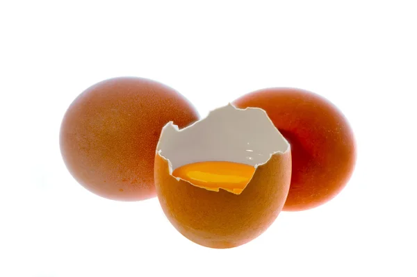 Rauwe eieren — Stockfoto