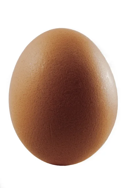 Studiofotografie van een eenvoudig schoon bruin ei geïsoleerd op wit — Stockfoto