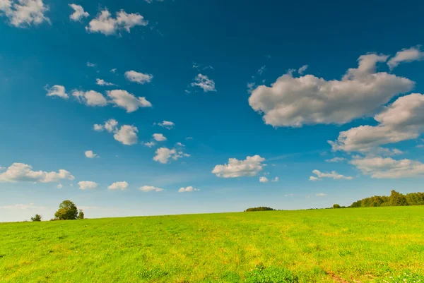 Piękny widok na zielone pole i błękitne niebo z chmurami — Zdjęcie stockowe