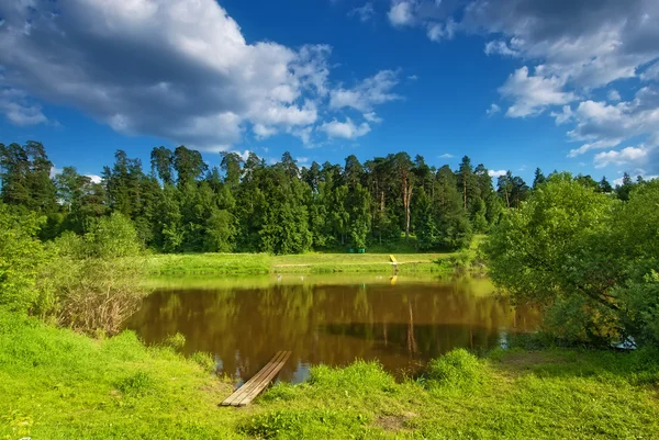 Letní krajina s malé jezero na pozadí borovic. — Stock fotografie