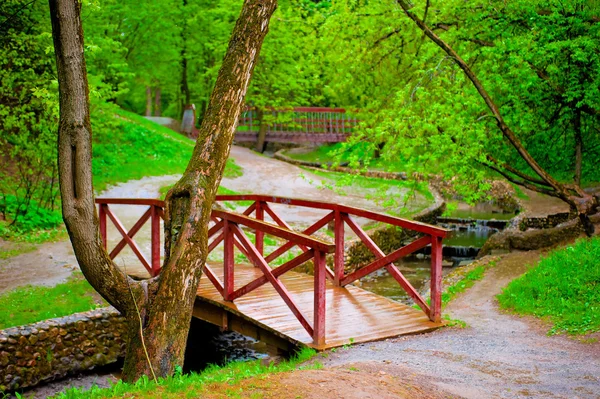 Wooden bridge in green leafy park across the rivulet — Stock Photo, Image