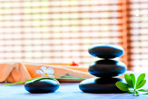 Ainda vida com uma pedra preta e uma flor no estilo de zen-like — Fotografia de Stock